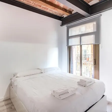 Homenfun Sants With Montjuic Views Apartment